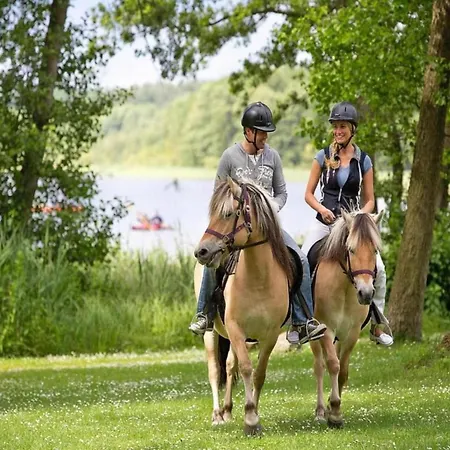 Mit Sauna Im Mirow Vakantiehuis