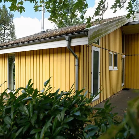 Mit Sauna Im Mirow *