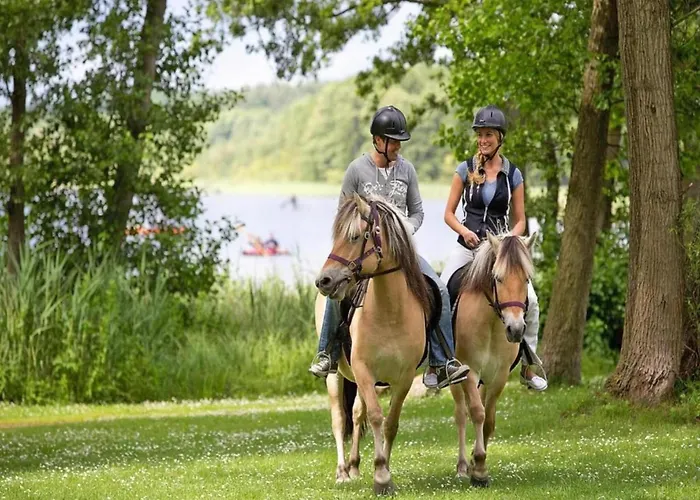 Mit Sauna Im Mirow 別荘